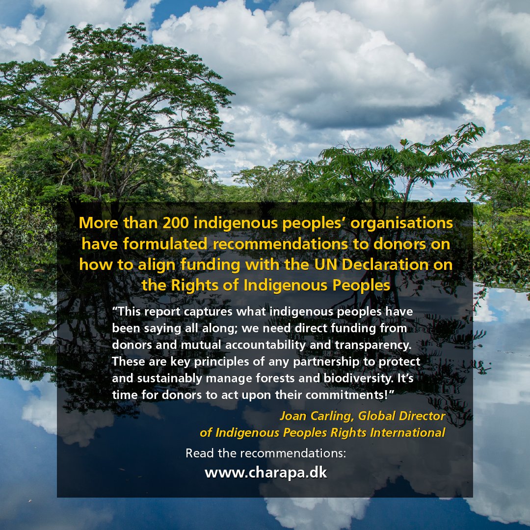 BiFeiring's tweet photo. "We have a problem of transparency" says @JoanCarling. Donors to the Forest Tenure Pledge reports that only 7% of funds disbursed went directly to #INDIGENOUS peoples - but how much went to women? We need disaggregated data and equitable funding #COP27 https://t.co/RwZQjAkdDQ https://t.co/5UXCxbdRiR