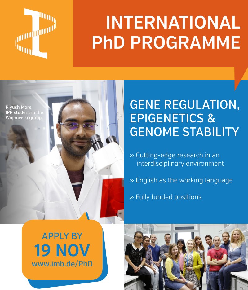 🚨We are hiring PhD students in our <a href="/IPPMainz/">IPP Mainz - PhD Network</a> #PhDprogram 

We have more than 20 fully funded projects in #aging #RNA
#epigenetics #Bioinformatics &amp; more 👉imb.de/students-postd…

We offer interdisciplinary training &amp; career development. Apply by 19 Nov➡ imb.de/PhD