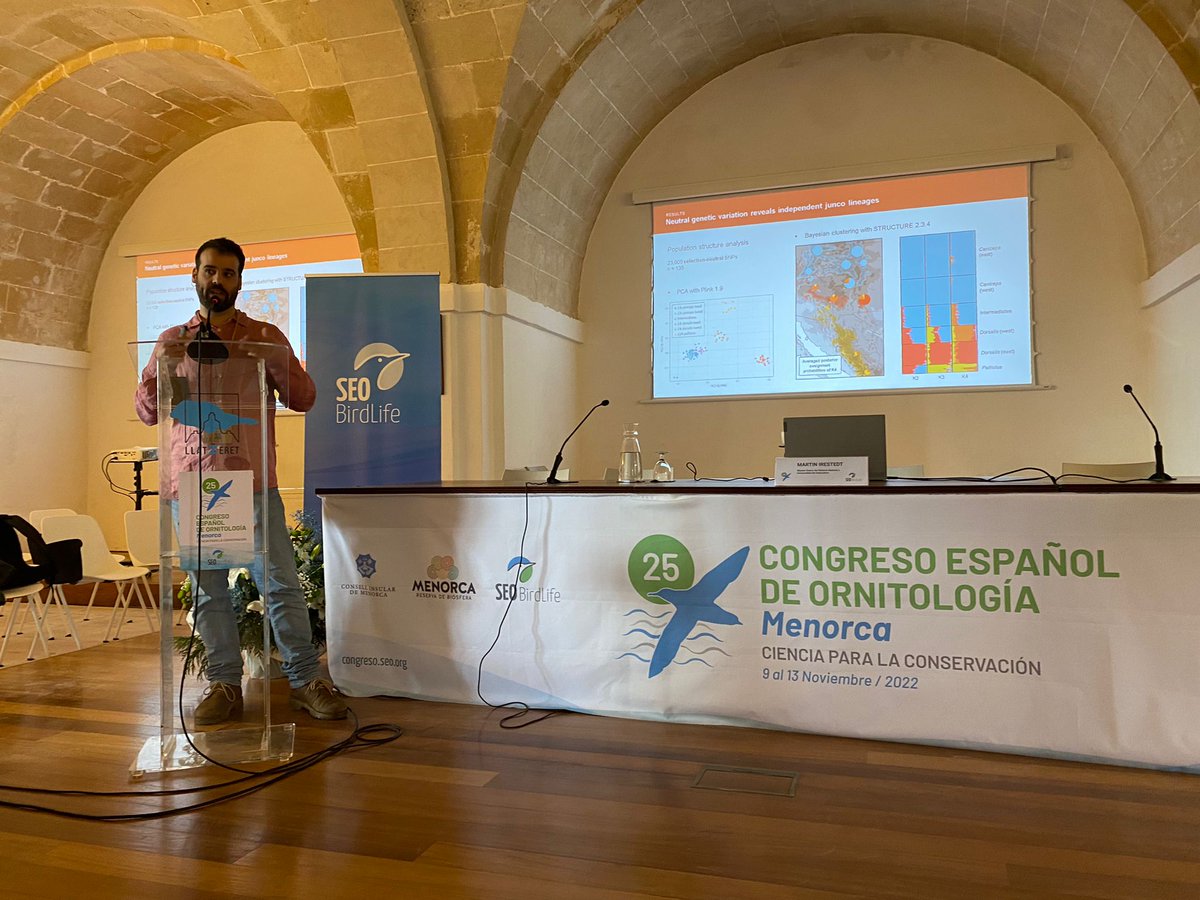 JaviSala5's tweet photo. Magníficas jornadas en el #CEO25 con @borjamila y @brbbfreitas en Menorca. Contento de haber podido compartir nuestros resultados sobre la fascinante radiación del 'dark-eyed junco'. Muchas gracias a @SEO_BirdLife y a todos sus participantes por todo lo aprendido estos días. https://t.co/724ksqSywO