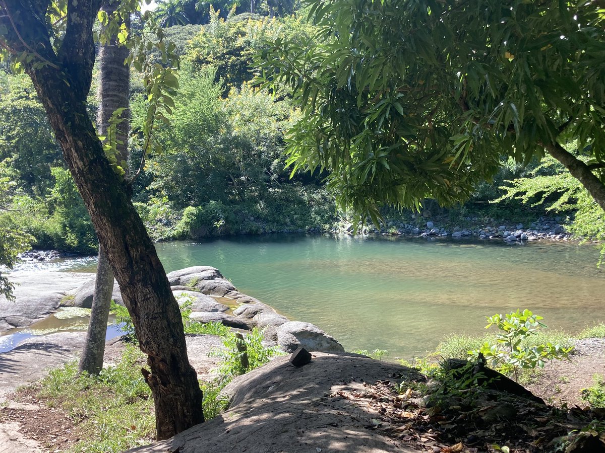 AnleyRosales's tweet photo. Caminar por la naturaleza es un privilegio, hay lugares en la Sierra Maestra, Bartolomé Masó que son fantásticos. Disfruta de un día con aire fresco junto a los campesinos en su vida diaria. #farmerslife #campesinolife #NaturePositive #sierramaestracuba #hikingadventures #cuba https://t.co/7fDmElEXuf