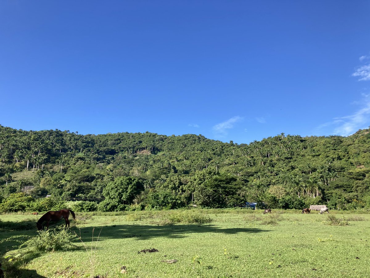 AnleyRosales's tweet photo. Caminar por la naturaleza es un privilegio, hay lugares en la Sierra Maestra, Bartolomé Masó que son fantásticos. Disfruta de un día con aire fresco junto a los campesinos en su vida diaria. #farmerslife #campesinolife #NaturePositive #sierramaestracuba #hikingadventures #cuba https://t.co/7fDmElEXuf