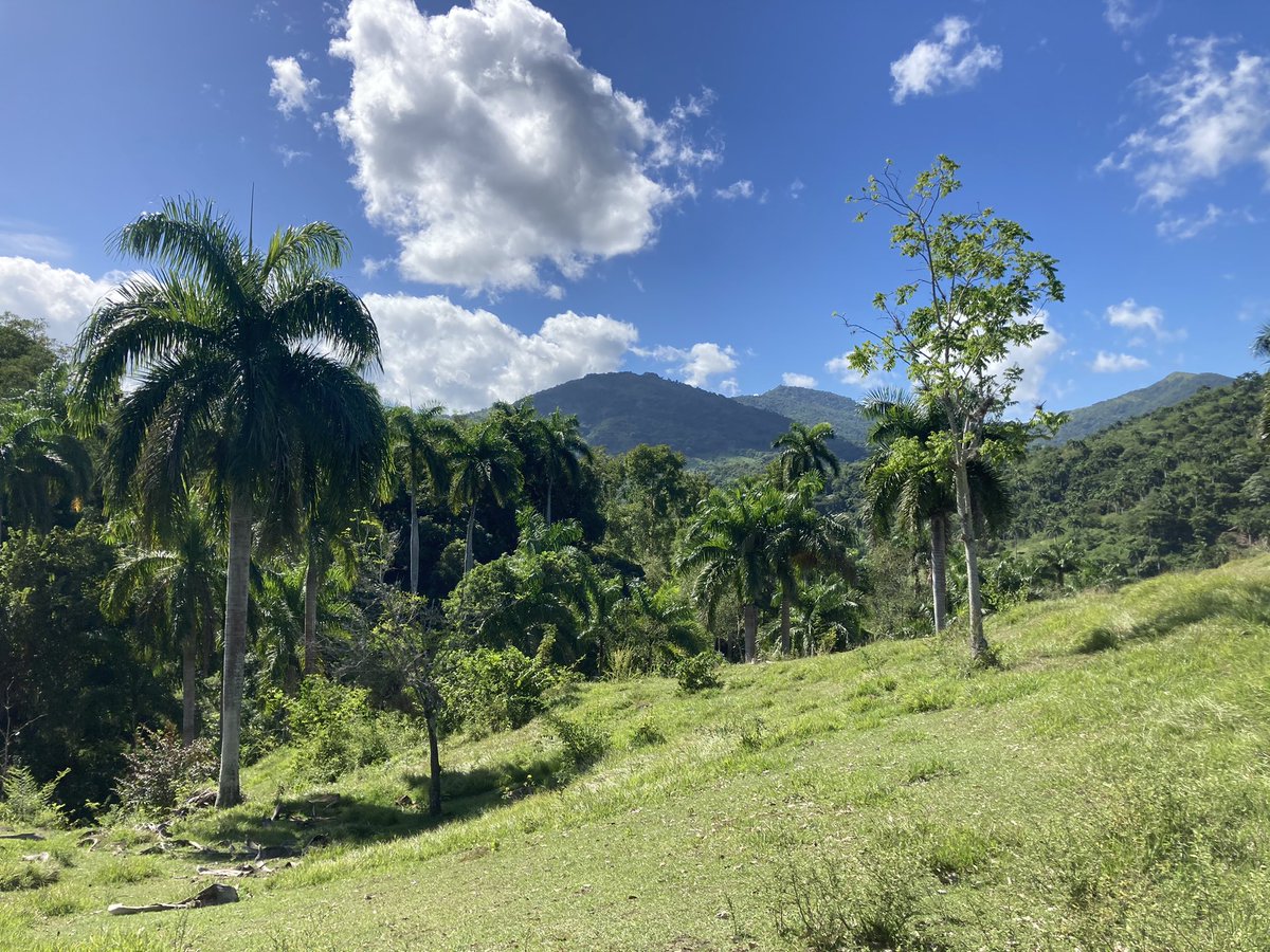AnleyRosales's tweet photo. Caminar por la naturaleza es un privilegio, hay lugares en la Sierra Maestra, Bartolomé Masó que son fantásticos. Disfruta de un día con aire fresco junto a los campesinos en su vida diaria. #farmerslife #campesinolife #NaturePositive #sierramaestracuba #hikingadventures #cuba https://t.co/7fDmElEXuf