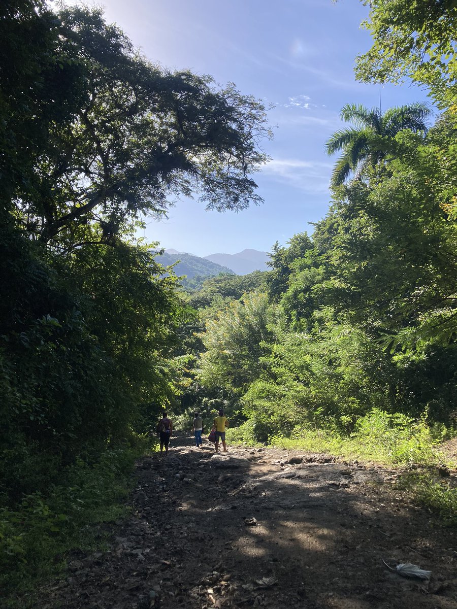 AnleyRosales's tweet photo. Caminar por la naturaleza es un privilegio, hay lugares en la Sierra Maestra, Bartolomé Masó que son fantásticos. Disfruta de un día con aire fresco junto a los campesinos en su vida diaria. #farmerslife #campesinolife #NaturePositive #sierramaestracuba #hikingadventures #cuba https://t.co/7fDmElEXuf
