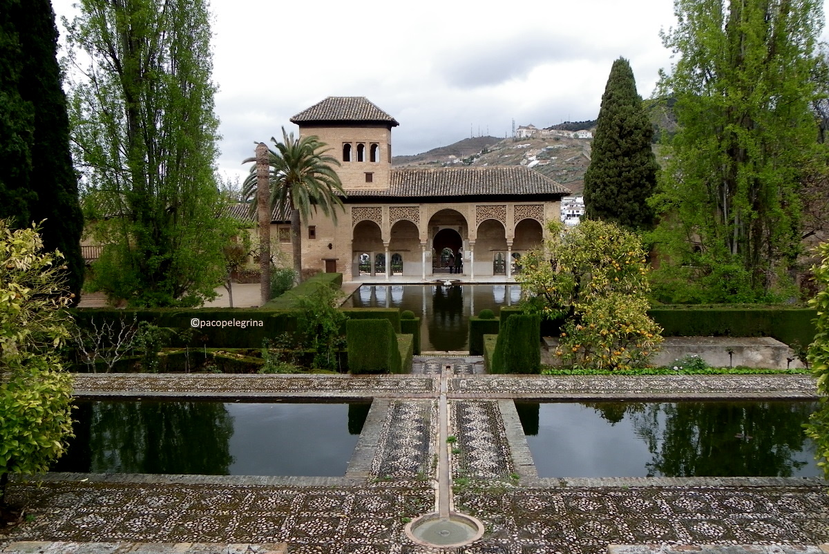 pelegrinalopez2's tweet photo. ALHAMBRA DE GRANADA - Jardines de El Partal y Torre de las Damas.
#AlhambraDeGranada, #Alhambra , #ElPartal , #TorreDeLasDamas https://t.co/ZqPnVbcTHf