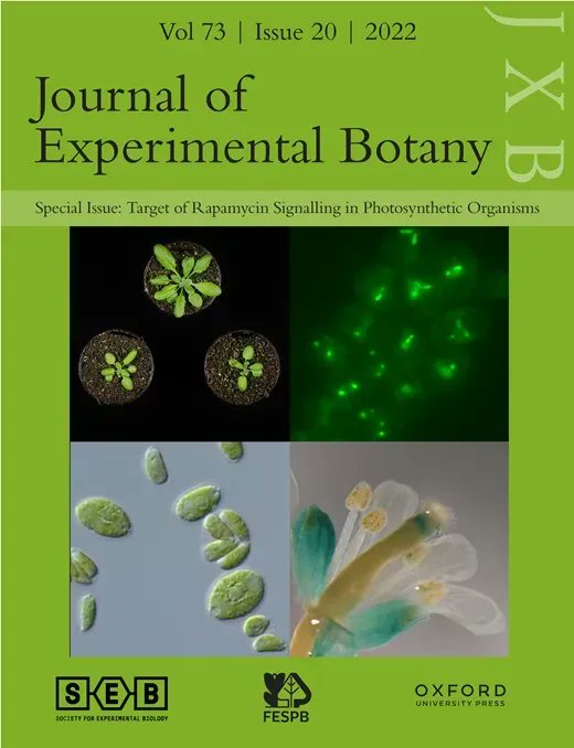 JXB @jxbotany.bsky.social (@jxbot) on Twitter photo #SpecialIssue Target of Signalling in Photosynthetic Organisms
bit.ly/3TETDAS
Edited by Rossana Henriques, José Luis Crespo, Elena Baena-González & Camila Caldana
<a href="/ChlamyAutophagy/">Crespo lab</a> <a href="/EBaena_Gonzalez/">Elena Baena-González</a> <a href="/Caldanalab/">Caldana Lab</a> <a href="/rossana_biology/">Rossana Henriques</a> #SpecialIssue Target of Signalling in Photosynthetic Organisms
bit.ly/3TETDAS
Edited by Rossana Henriques, José Luis Crespo, Elena Baena-González & Camila Caldana
<a href="/ChlamyAutophagy/">Crespo lab</a> <a href="/EBaena_Gonzalez/">Elena Baena-González</a> <a href="/Caldanalab/">Caldana Lab</a> <a href="/rossana_biology/">Rossana Henriques</a>