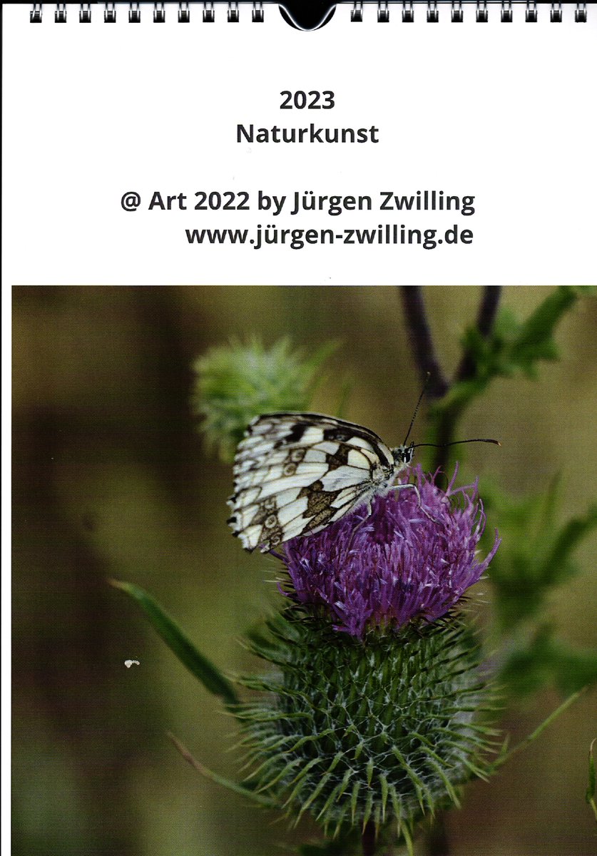JuergenZwilling's tweet photo. Galerie Kalender Naturkunst 2023 ab sofort erhältlich https://t.co/xSYXoBi0YY #bookstagram #bücherliebe #books #buch #book #bücher #lesen #reading #lovelybooks #booklover #bookaddicted #danke #rezension #rezensionsexemplar #bookaholic #buchblogger #buchbloggerin #readingtime https://t.co/WfXDLFH7ws