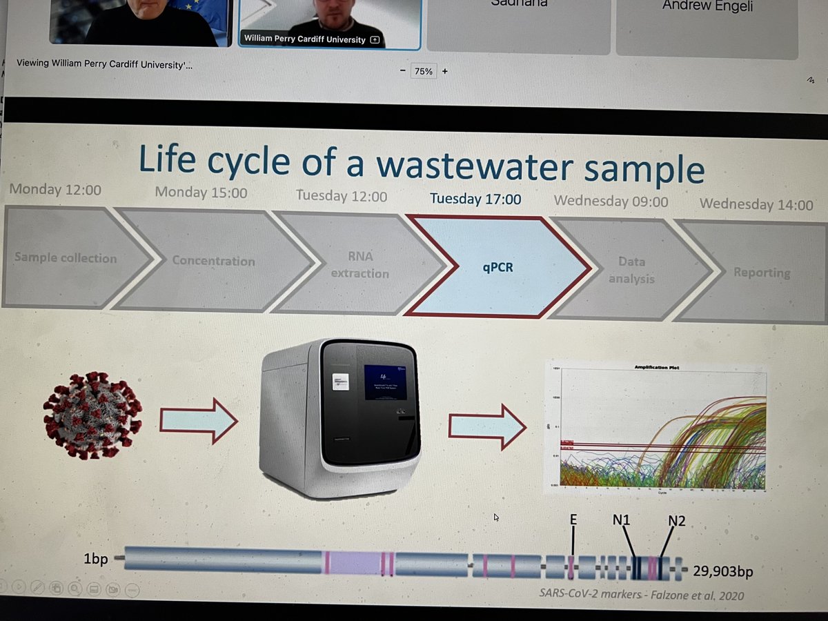 The life cycle of wastewater sample for WBE. From cradle to grave NOT. From poo to PDF YES. Great presentation by William Perry <a href="/cardiffuni/">Cardiff University</a> @#EU4S 8th Town Hall.