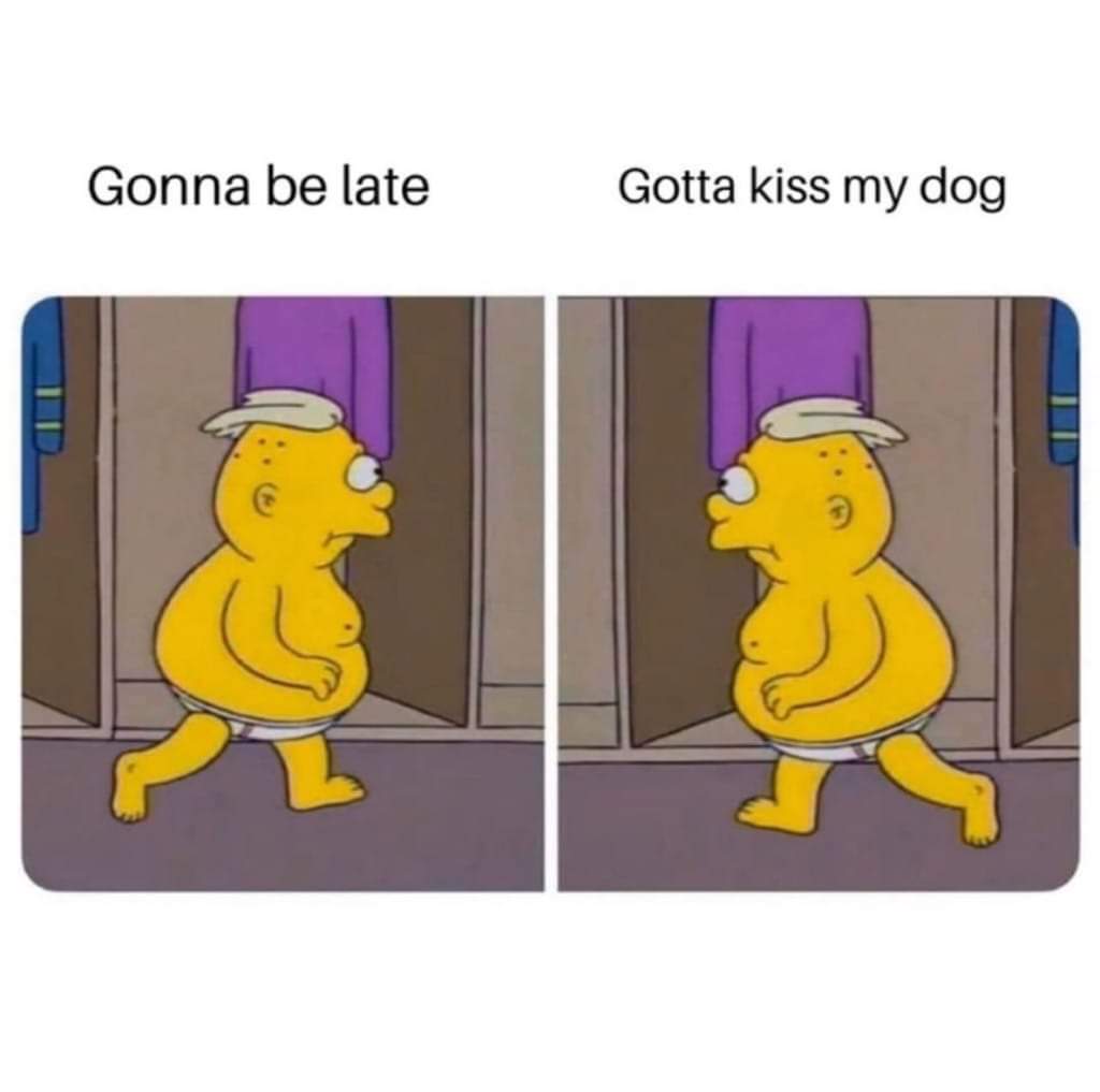 StuartFeiner's tweet image. 