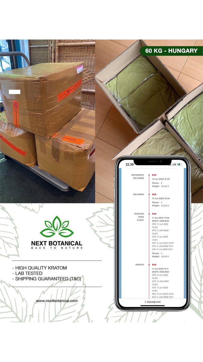 nextbotanical's tweet photo. Another shipment arrived in Hungary ✌️

We provide high quality kratom from Borneo 🍃

https://t.co/ajgbKs0J5W

#kratom #kr8tom #kratomwholesale #kratomusa #kratomczech #kratomgermany #kratomcanada #kratomhungary #kratomeurope #kratomnetherlands #kratomextract #smokeshop https://t.co/UaLZ3dNEC3