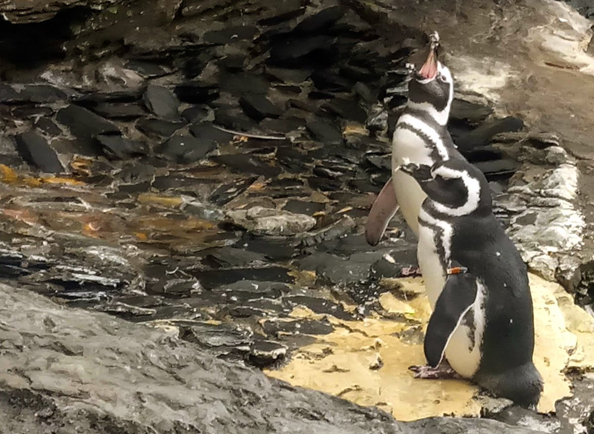 What? 
We're all on the spectrum. #SBF_FTX  #FTXScam