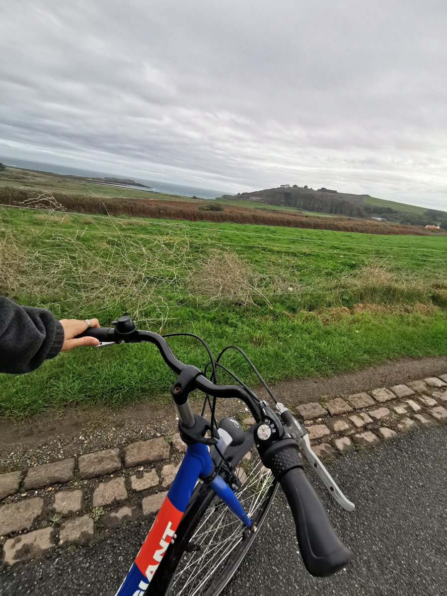 Emily Wordley tweet media