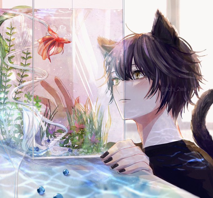 「aquarium」 illustration images(Latest｜RT&Fav:50)