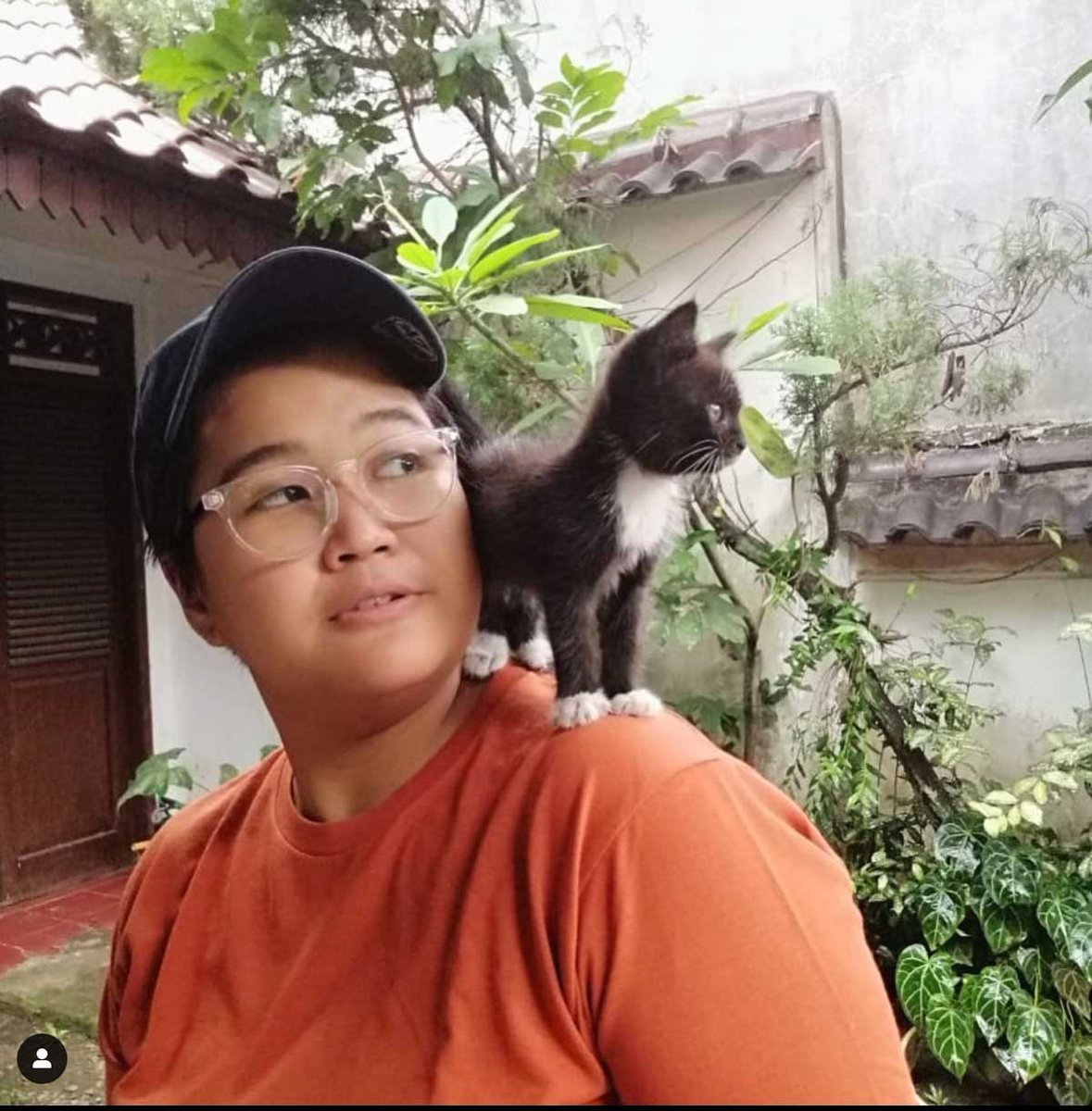 jakartahanachan's tweet photo. フレディ物語、第2回。子ねこがうちに来ることになり、まずは名前を決めました。なぜ「フレディ」になったのか？

フレディ・ザ・キャット
https://t.co/XID3jQobns https://t.co/YJHW2xN844