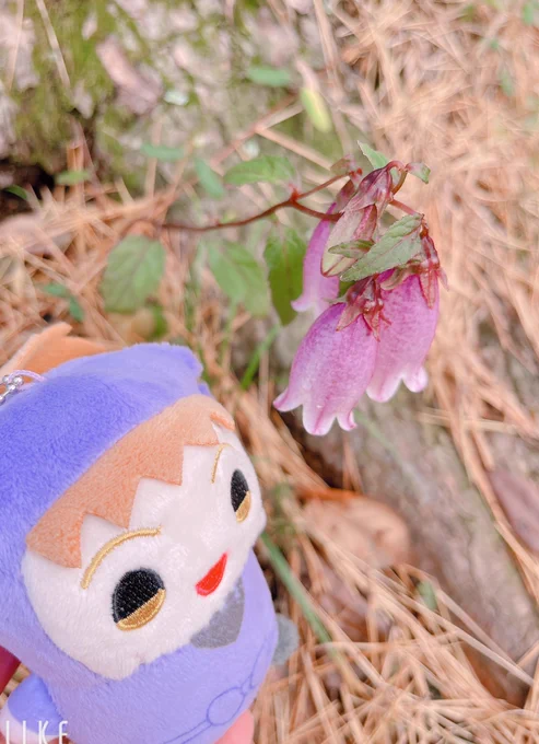 さっきのらいぞ今のらいぞ 