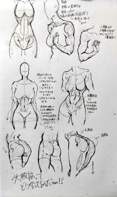 【十五日目】
女性の筋肉の勉強
ケツ、わからん。
#100日チャレンジ 