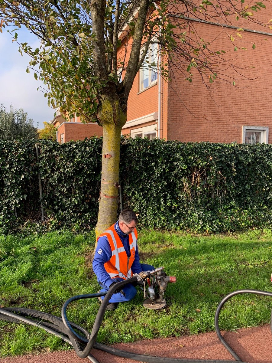 De bomen en het groen in Saendelft kunnen wel wat liefde gebruiken. We zijn vorige week gestart. 💚

Ongeveer 75 bomen krijgen ‘bodemverbetering’.  Met een lans spuiten we onder druk onder andere compost, voedingsstoffen en lava in de bodem. Dit helpt bomen beter te wortelen. 🌳