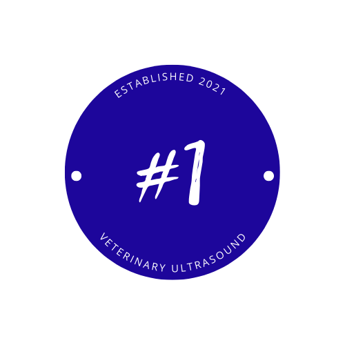 VetScanSchool's tweet photo. One Scan Away is the 30 day challenge to learn ultrasound.  Day 1 = set the goal, commit, and LEAN IN!  Dr Tim takes you from knowing nothing about vet ultrasound to proficient and confident in 30 days.  https://t.co/pZ4f05rTjy https://t.co/U5ue8ZG3Js