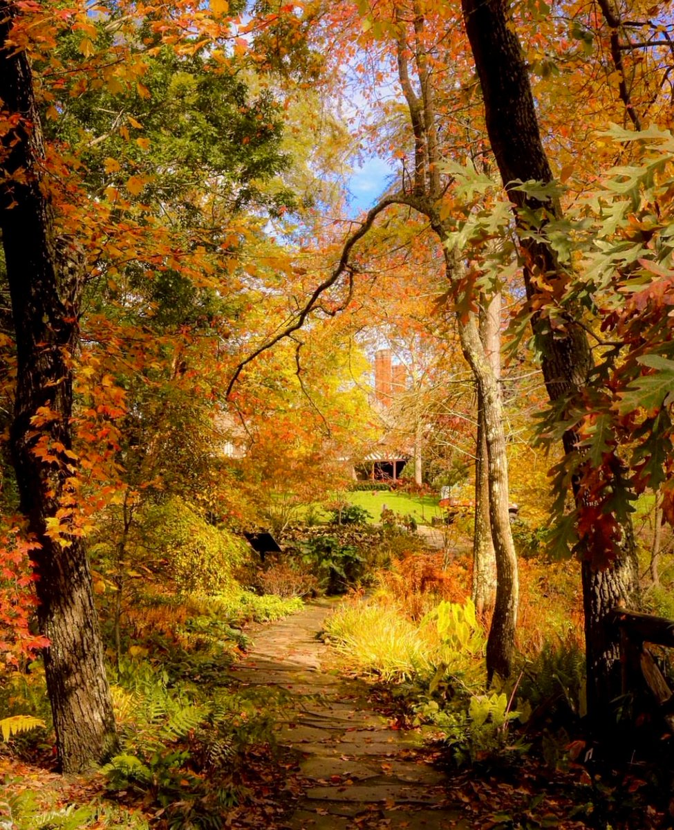 DiscoverLINY's tweet photo. Soaking in the fall strolls while we can π
πBayard Cutting Arboretum State Park
πΈ: @virginia___rose
#discoverlongisland #whereyoubelong #longislandnewyork #longisland #longislandny #liny #exploreliny #iloveny #bayardcuttingarboretum #arboretum #longislandfall https://t.co/qhmsZrRNAp