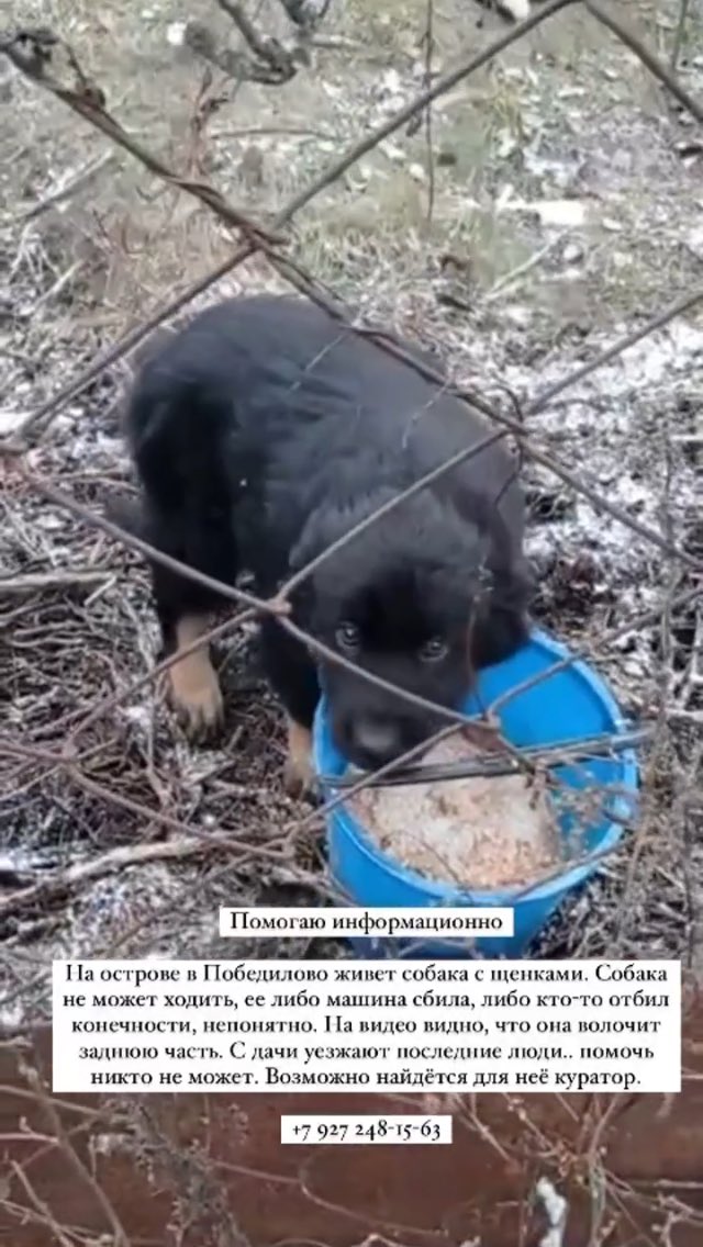 я правда не знаю, кто может помочь
но может кто-то хочет и самое главное может 
прошу, репост