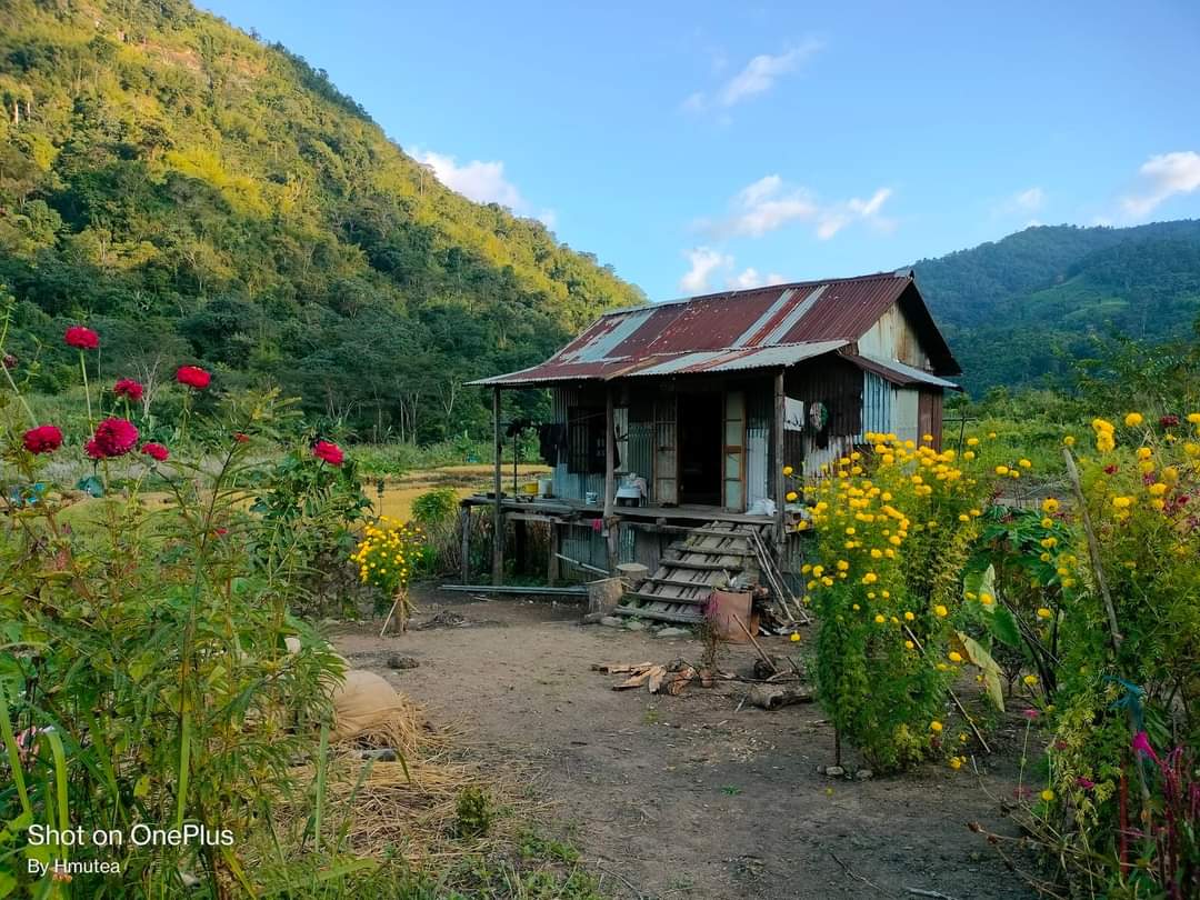 mizoraminsta's tweet photo. Leilet thlam (farm hut)
Location: Ngengrual leilet, Thingfal, Mizoram
.
.
Pic credit π· @hmutea_thlohthang
.
.
.
#leiletthlam #thlam #ngengrualleilet #thingfal #pangpar #mizoramflower #flower #mizoram #mizoraminsta #northeastIndia #farm #farmhut #agriculture https://t.co/eNMUZ18LJe