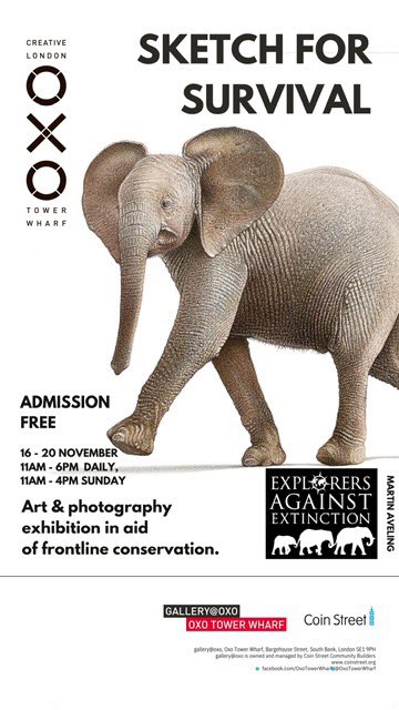 If you are visiting the south bank in London over the coming days, keep an eye out for my 🐘 #artwork on the posters for the #sketchforsurvival exhibition curated by @realafrica. 

16-20 Nov at Gallery @OxoTowerWharf 🖼
