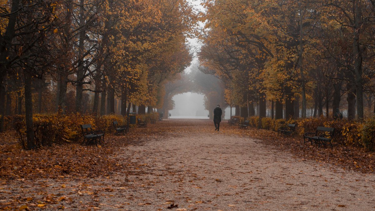 A man walking into the fog...
#photography #autumn #fall #orange
