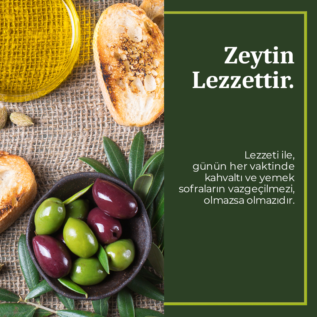 egeya_'s tweet photo. Zeytin nedir?🫒🫒
🫒Zeytin emektir.
🫒Zeytin sağlıktır.
🫒Zeytin lezzettir.
#Zeytin #sağlık #emek #lezzet #Oliver #oil #zeytinyagi #egeya https://t.co/WpeC2Gy69R