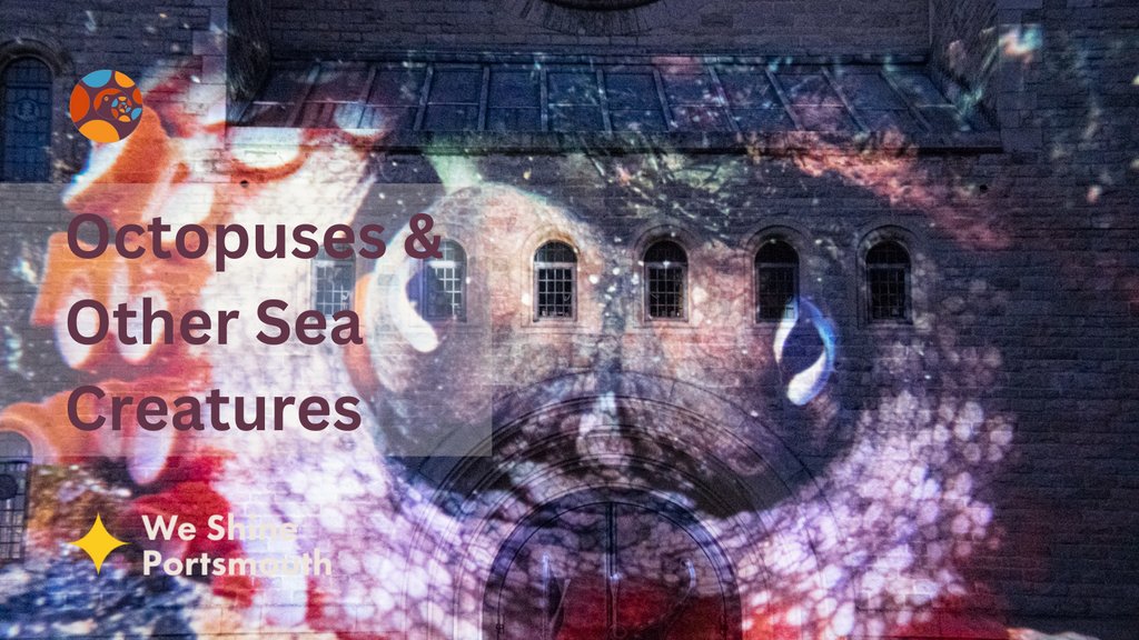 Dr Lighthouse tweet media