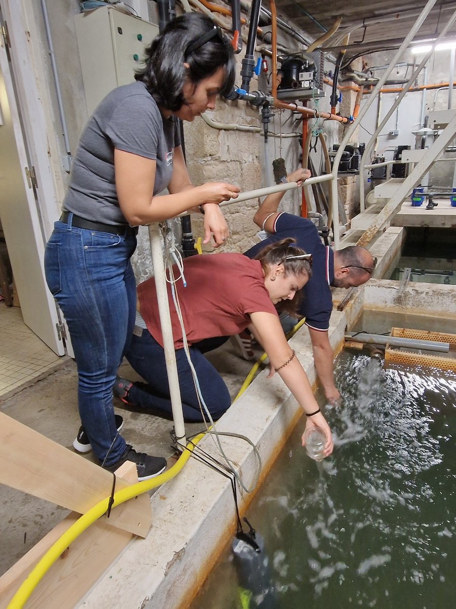 FPA2's tweet photo. 10 early-career scientists from all over the world gathered at the Marine Environment Laboratories of @iaeaorg in Monaco for a 2-week training course on #OceanAcidification in a multiple-stressor context.
Read more: https://t.co/BxNrKsVOvb

#FPA2 #FPA2Events #OceanAcidification https://t.co/yXh02oukKS