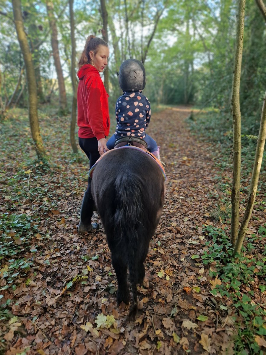 GeorgiaLB's tweet image. And so it begins! 🙈🐴💜