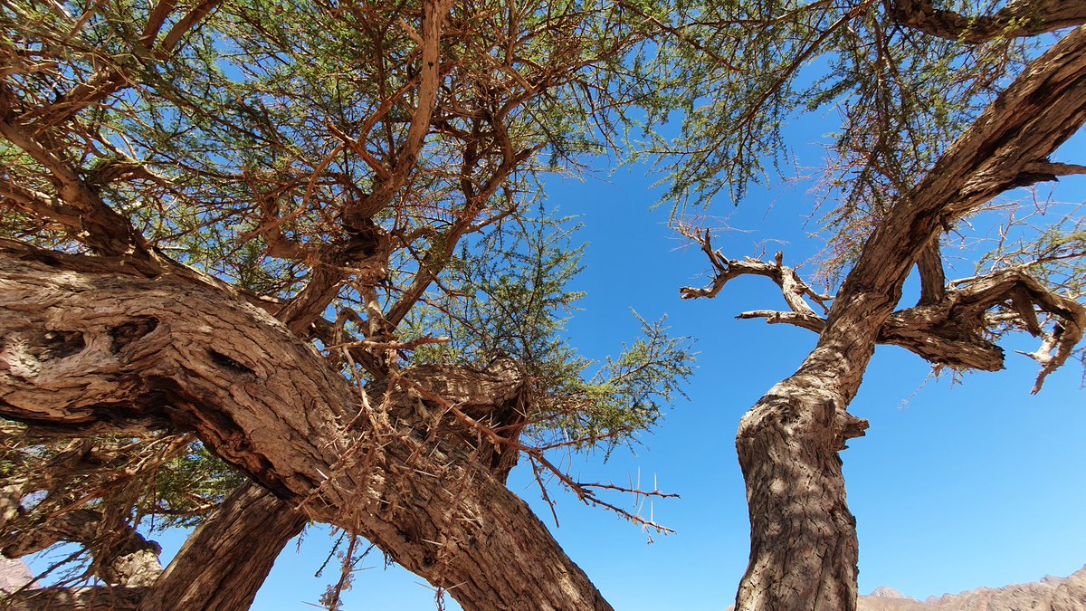 Claude Garcia tweet media