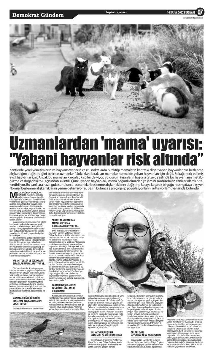 Yaban hayvanlarını mama ile beslenmemesi gerekiyor. Kısa zamanda iyi niyetle yaklaşımlar uzun vadede farklı ekolojik zararlar yaratabiliyor.
Röpörtaj: <a href="/MelisaGnen7/">Melisa</a>