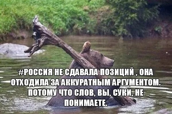 RussianEssence's tweet photo. https://t.co/zrsfrl1f2l
