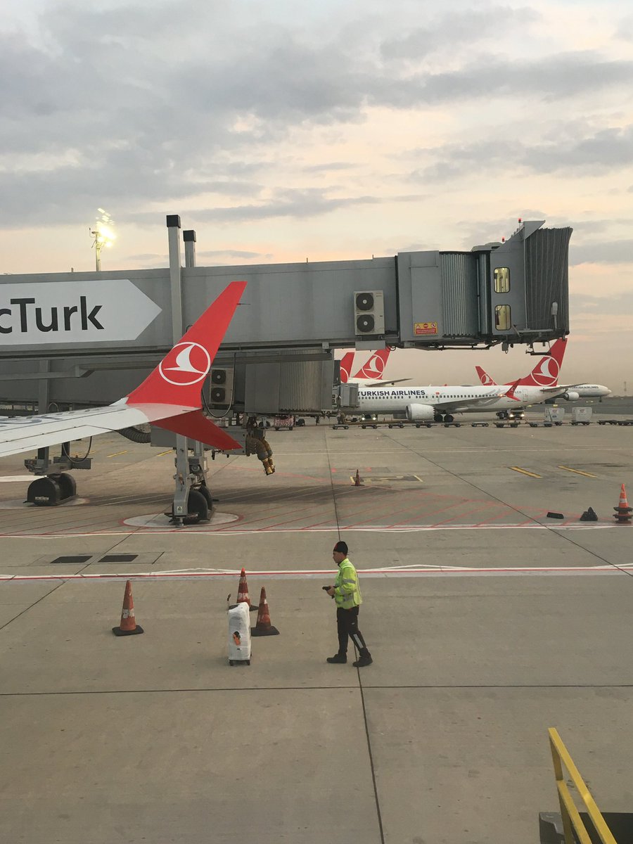 reborn3ed's tweet photo. 🛫 https://t.co/KBtEzibOgW