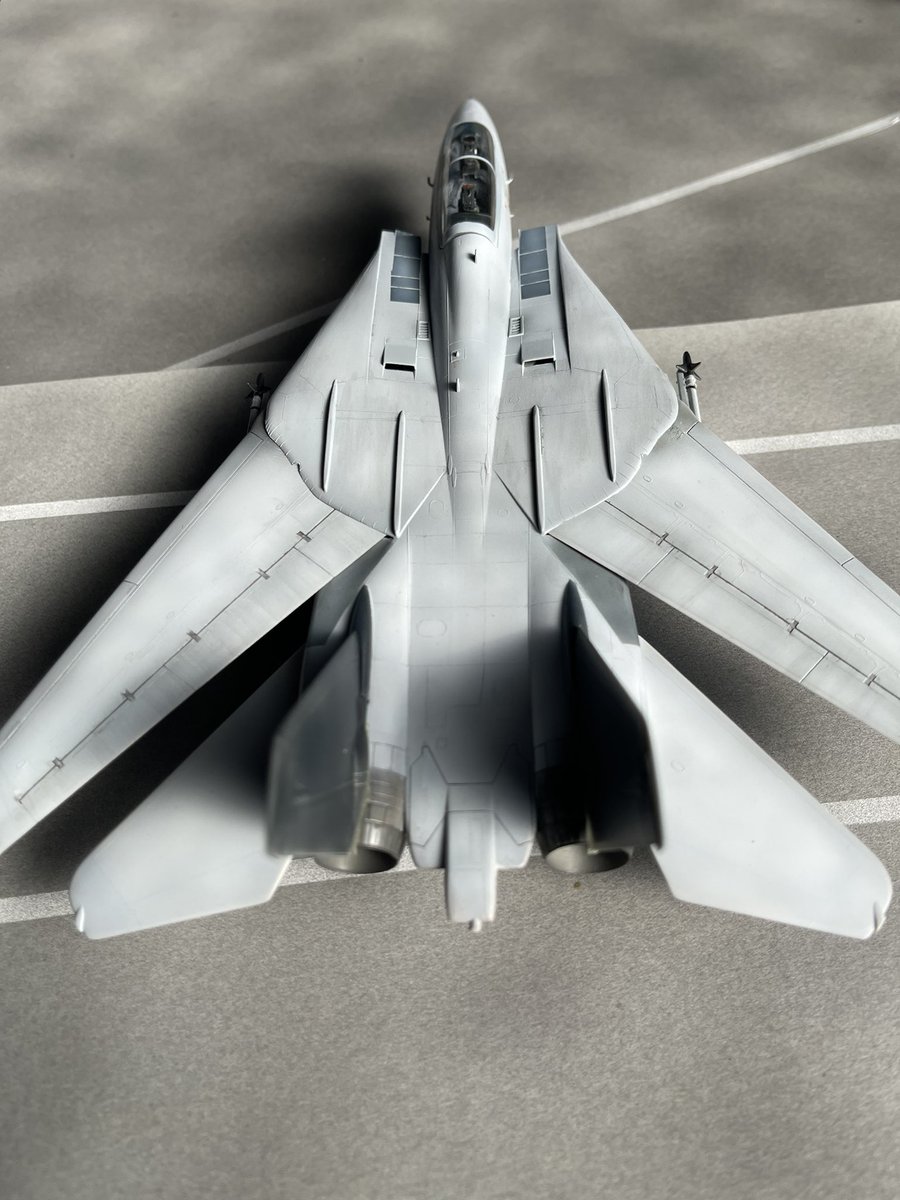 cx4576's tweet photo. #トップガン祭り完成
#トップガン祭り 
ハセガワ1/72凸モールド、F-14
ならず者国家の機体。色々と雑だけどこれで完成とします！乗ってるパイロットはあの二人ではなく、ならず者パイロットという事で仕上げました。 https://t.co/rFoq2HMV9l