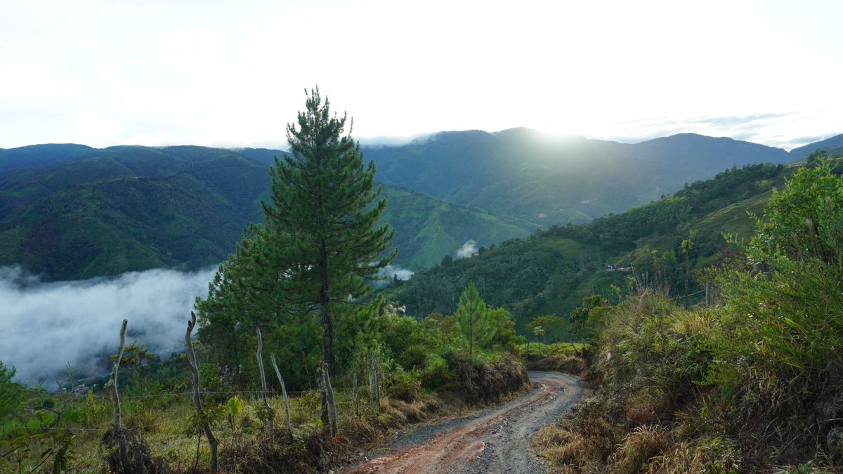 anflopezoc's tweet photo. Vereda El Canelo, Cañasgordas. lugar mágico para tomar café.
@Teleantioquia #EstampasDeMiTierra #ConsejoTA https://t.co/S3smfyGmqV