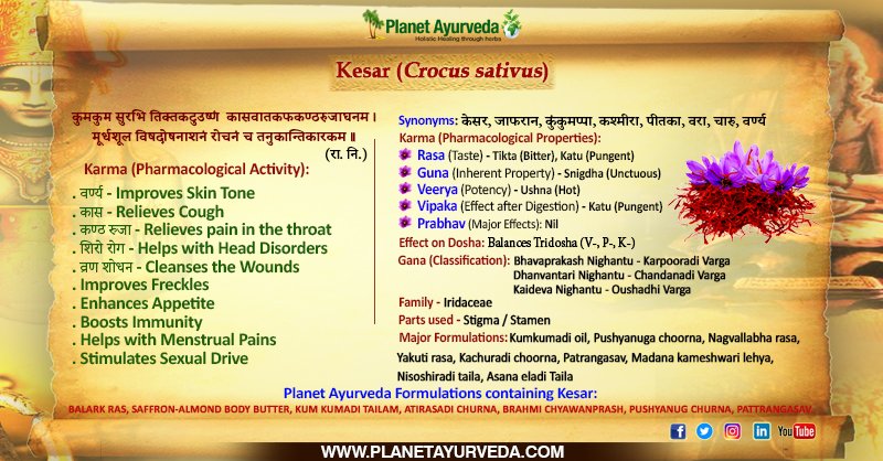 PlanetAyurveda4's tweet photo. Kesar / Saffron (Crocus Sativus) - Ayurvedic Properties & Health Benefits
#Kesar #CrocusSativus #Saffron #BenefitsOfKesar #KesarBenefits #KesarHealthBenefits #HealthBenefitsOfKesar #AyurvedicPropertiesOfKesar #KesarMedicinalProperties #KesarMedicinalUses #KesarFormulations https://t.co/KQksGSyjpy