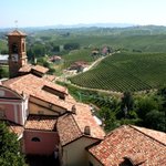 Photo by Grand Cru (@wine_school)