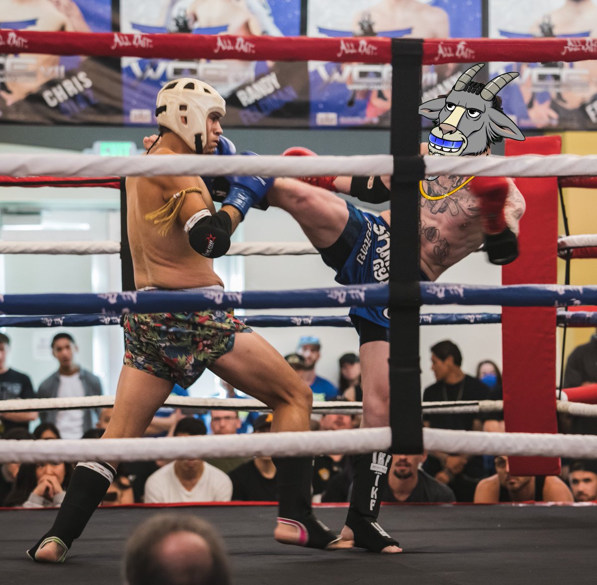 0xTheGoat tweet media