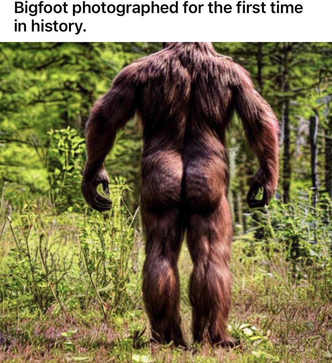 no context memes tweet media