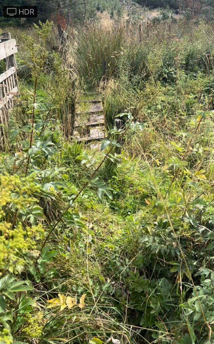Dalesranger's tweet photo. #Ranger Nathan has been out with our trusty band of #dalesvolunteers to replace the old bridge at Cam Wood with a brand new one opening up the Right of Way. https://t.co/gpmTxsT09o