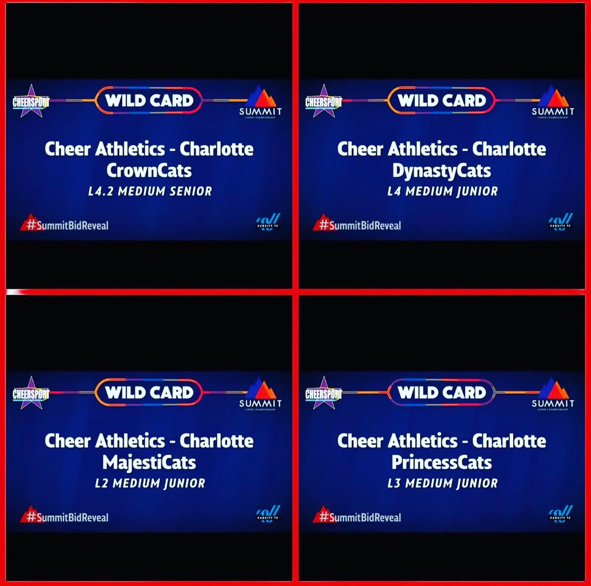 SuperiorCats_CA's tweet photo. So exciting! Congrats to these amazing CAts on their Summit Bid! 😻💙🥳 #cacharlotte #summitbid #prime9 https://t.co/irP3Payjii
