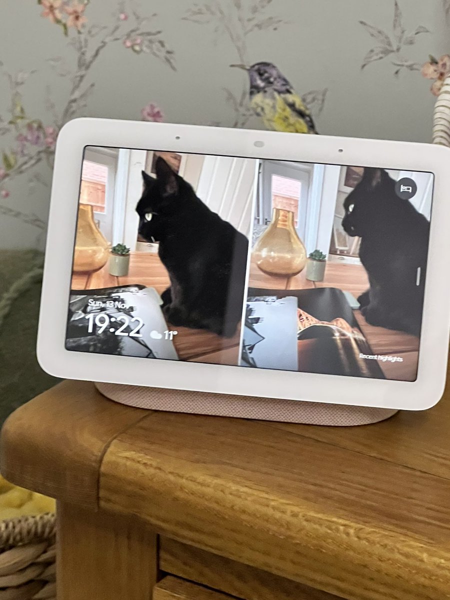 SolidSooty's tweet photo. Episode 11 of A Wee Natter is available now. 

Catch it whenever you get your podcasts from. https://t.co/uMQWnP3gMu