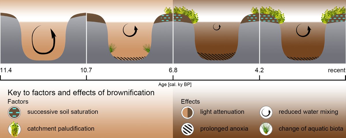 Climate change affected brownification of mountain lake waters during the Holocene. An excellent outcome of Ph.D. project of Anna Tichá. authors.elsevier.com/c/1g5BKB8ccuuSg @rchiverrell