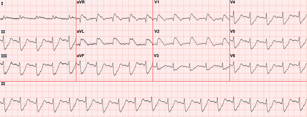 Stephen W. Smith tweet media