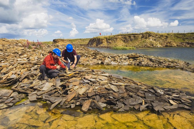 NatureScot's tweet photo. 💬Last chance – one week to go! Fossil collectors, researchers and landowners - help us revise the new Scottish Fossil Code to encourage responsible fossil collecting: https://t.co/1rvOf9QzwJ
@VisitScotland @NtlMuseumsScot @ScotLandEstates @RSPBScotland @COSLA @ForestryLS https://t.co/DK9JZgbaoh
