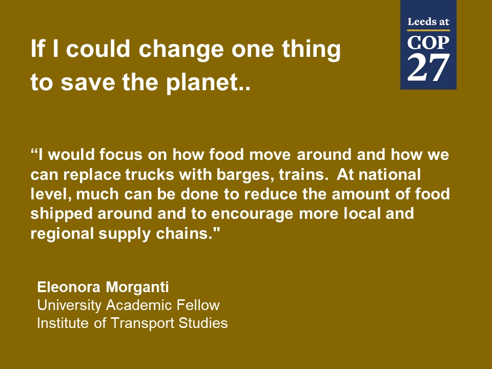 ITSLeeds's tweet photo. Read our new #COP27 blog on how changes to food transport can reduce energy use and emissions to help save the planet. Learn more: https://t.co/1RuMqRlfeH #ResearchForClimateAction @GlobalFoodLeeds https://t.co/L7Li8PdsqS