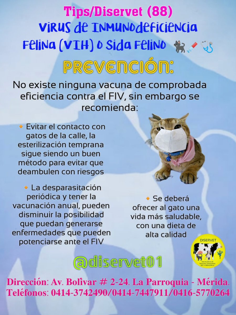 diservet01's tweet photo. @diservet01 #TipsDiservet #sidafelino #VIF #petlovers
#consultaveterinaria @mvreinaldorivas https://t.co/MMlXVmQ9kl