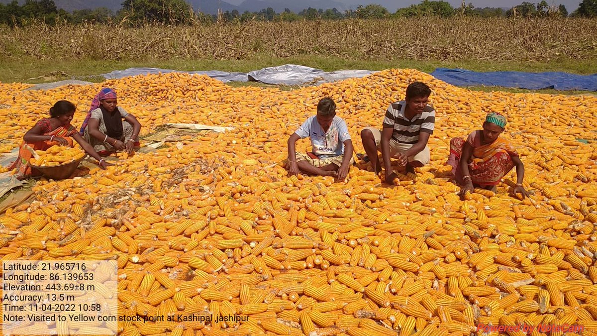 OTDS tweet media