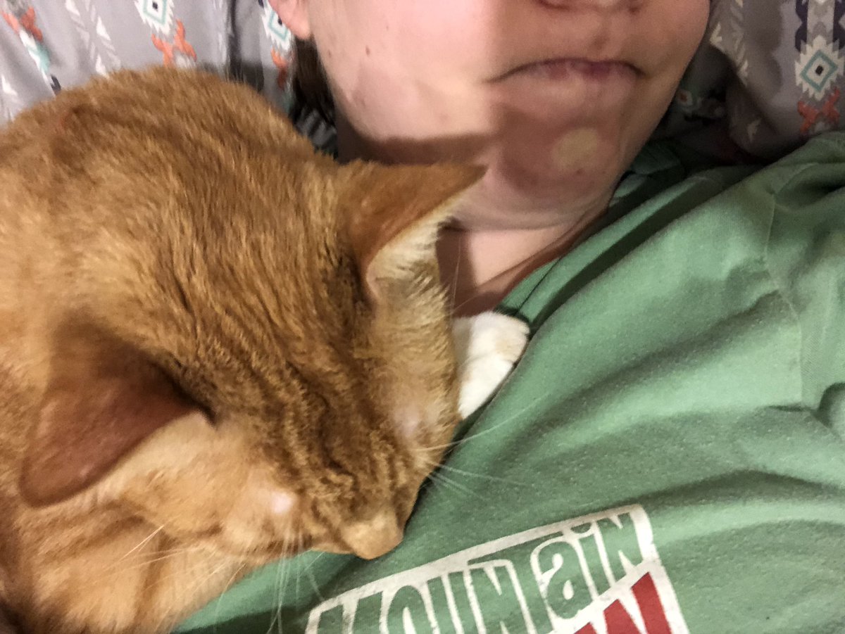 I am VERY late for work. 

The cause: